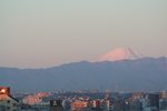 2011.1.1-富士山 001.jpg